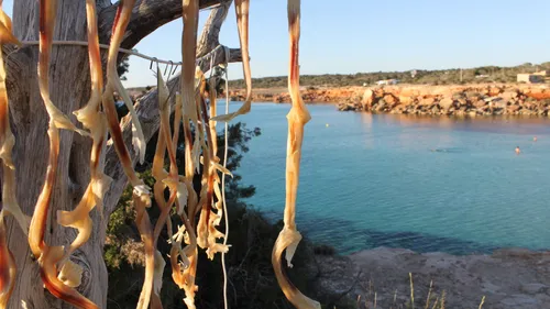 Où passer vos prochaines vacances ? Direction l’île de Formentera...