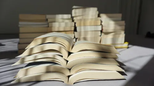 Gironde et Dordogne : les idées sorties du week-end 7 et 8 mars !