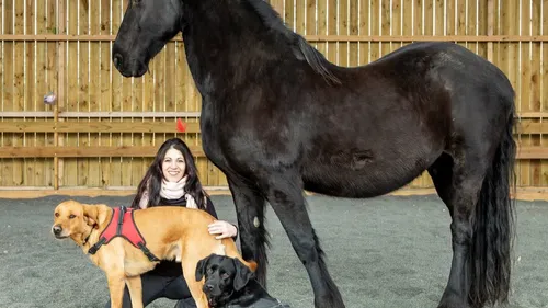 Dans l’Indre, les animaux au service du bien-être