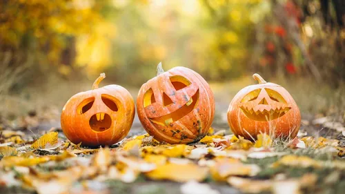 Halloween 2023 à Tours : nos idées sorties
