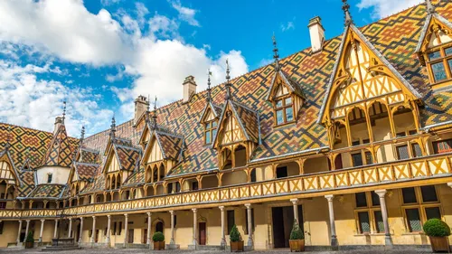 Bourgogne : 23 millions d’euros récoltés à la vente des vins des...