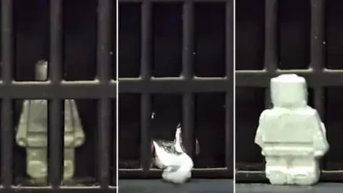 Les scientifiques viennent-ils de créer un robot capable de se...