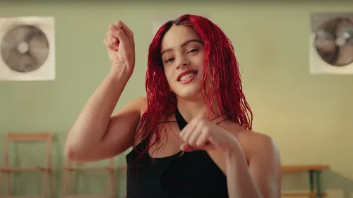 ROSALÍA - CHICKEN TERIYAKI