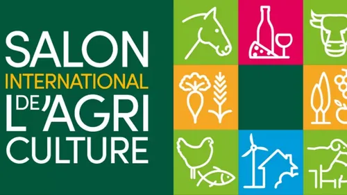 Nos idées sorties pour le week-end du 20 au 22 février