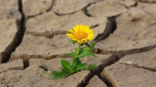 L’été 2022 pourrait être très sec en Centre-Val de Loire