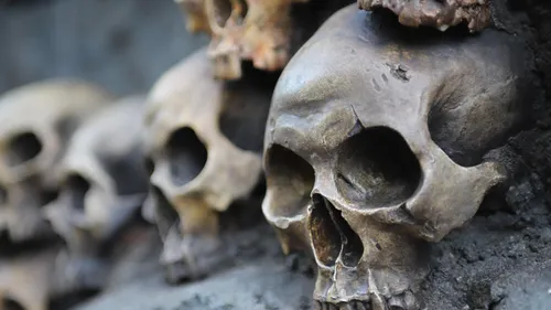  Le squelette de d’Artagnan retrouvé ? 