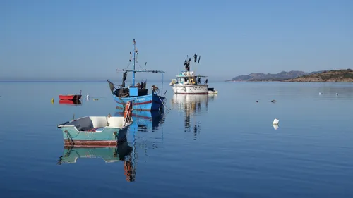Zones bleues : pourquoi vit-on plus longtemps dans certains...
