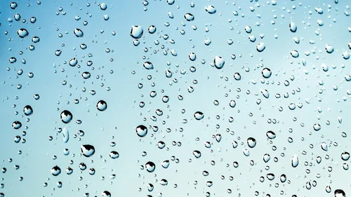 Les 4 infos du vendredi 3 novembre