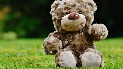 Yonne : elle collecte et distribue des peluches dans les hôpitaux