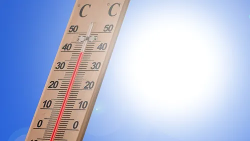Canicule en Nouvelle-Aquitaine : les communes s'adaptent face aux...