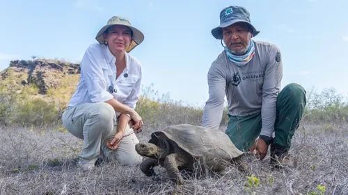 Les tortues géantes reviennent aux îles Galápagos après plus de 150...
