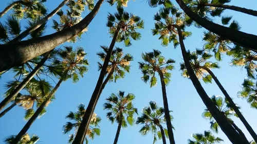 Le rêve américain se vit désormais en Espagne !