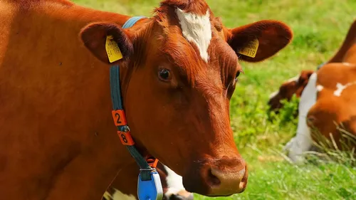 Un nouveau traité commercial signé entre l’Europe et l’Australie