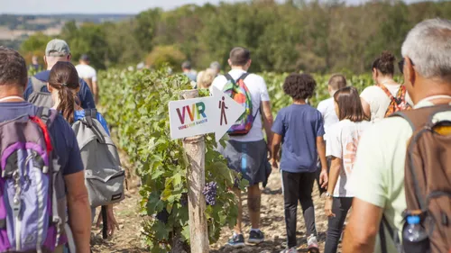 L’évènement Vignes, Vins, Randos fête ses 20 ans !