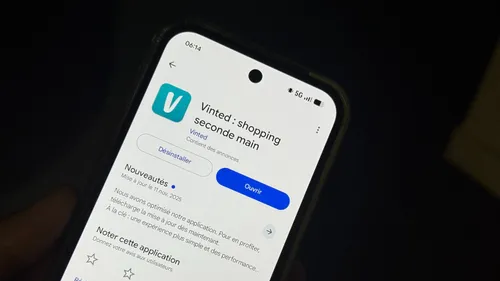 Vinted : la présence de contenus pornographiques peut-elle être...