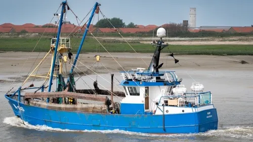 Bassin d'Arcachon : des bateaux de pêche à quai pour préserver les...