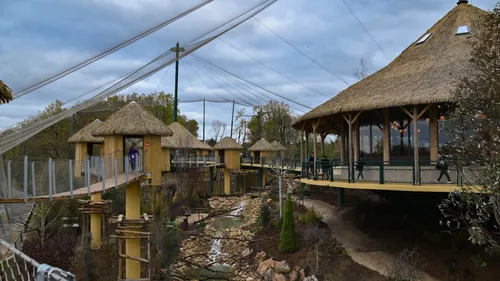 VIDEO. La grande volière du ZooParc de Beauval inaugurée ! 