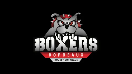 Boxers : c’est parti pour les playoffs !