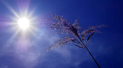 Vigilance orange canicule en Gironde : voilà les lieux pour se...