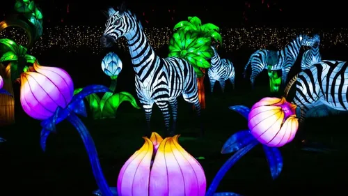 Gironde et Dordogne : voici les idées sorties pour ce week-end du...