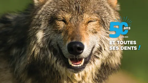 Deux-Sèvres : Zoodyssée fête cette année ses 50 ans