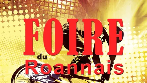 La Foire du Roannais célèbre sa 20e édition au Scarabée 