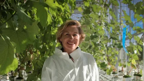 Saint-Etienne : une visite ministérielle ce vendredi