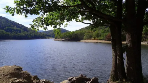 Deux ados de 14 et 15 ans meurent noyés dans la Loire