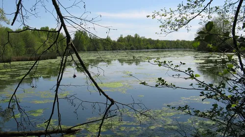 "Mission nature" : un site ligérien parmi les 20 sélectionnés par...