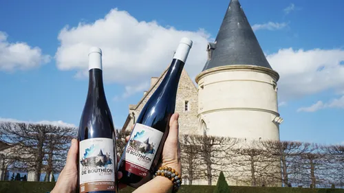 Le château de Bouthéon renoue avec son passé viticole 
