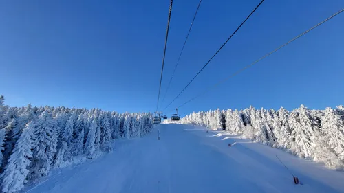 Descente nocturne, spectacle de feu : Chalmazel fête ses 90 ans ce...