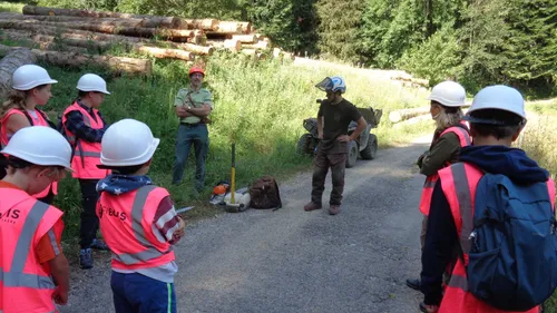 Retour de "vis ma vie de bûcheron" dans la Loire 
