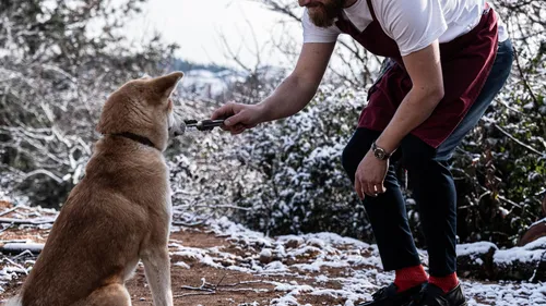 Top chef : top départ pour le chef ligérien Pierre Reure
