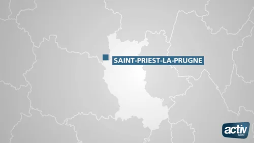 Roannais : un homme de 70 ans soupçonné de viols et attouchements 