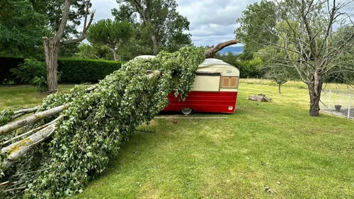 Roannais : un arbre tombe sur son food truck, Pierre Reure lance un...
