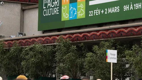 Salon de l'Agriculture : plusieurs médailles d'or pour des...