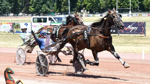 Feurs : L'hippodrome accueille une étape du Grand National du Trot...