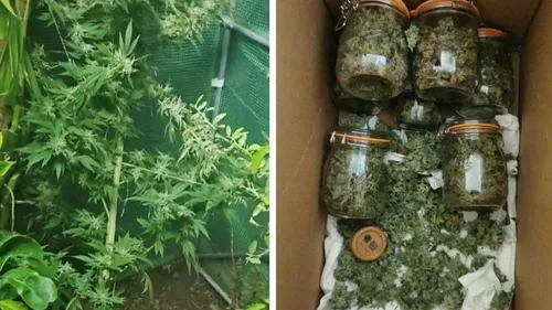 Forez : 500 paquets de cigarettes saisis, 3 interpellations