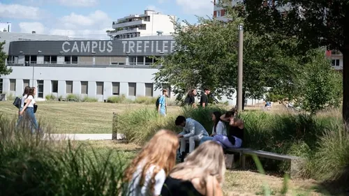 Découvrez pourquoi la mobilisation étudiante a été annulée dans la...