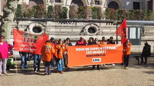 Saint-Etienne : L214 lance "le sauvetage du siècle"