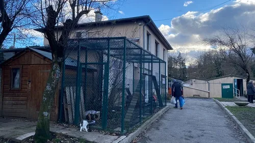 La SPA de Saint-Etienne cambriolée