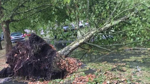 EN IMAGES : Les dégâts suite au passage de l'orage dans la Loire 