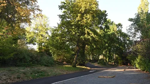 A J-1 de la Coupe du monde de rugby, Saint-Etienne ouvre une aire...