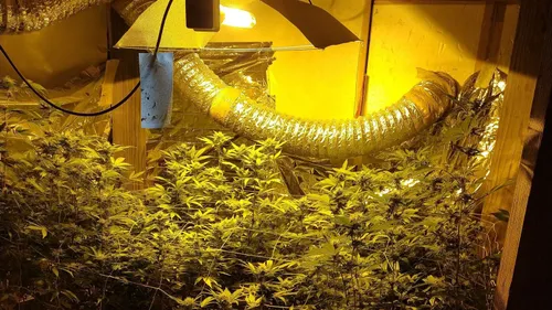 Cannabis, carabine, pistolet : les gendarmes font une...