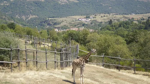 Le Parc Animalier d’Auvergne veut devenir le premier zoo 100 %...