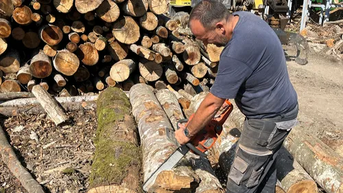 Bois de Chauffage : un risque de pénurie ? 