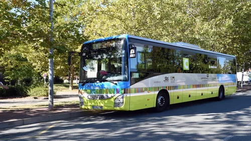 Saint-Etienne : Des navettes gratuites pour la Toussaint