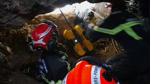 [PHOTO] Insolite : les pompiers viennent en aide à un chien 