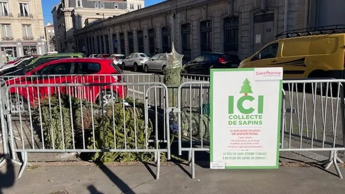 Saint-Etienne : Noël passé, la collecte des sapins a (déjà) débuté