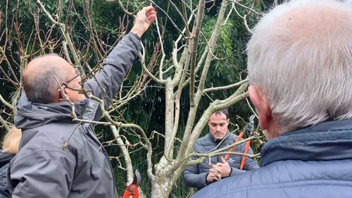 A Charlieu, Moncorgé & Moi anime des cours de taille